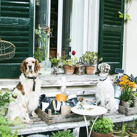 Derriere Bed & Breakfast Cernobbio